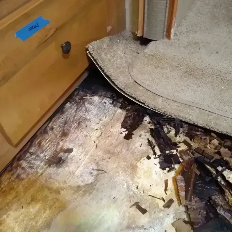 Best Wood Floor Water Damage Service in De Kalb, MS